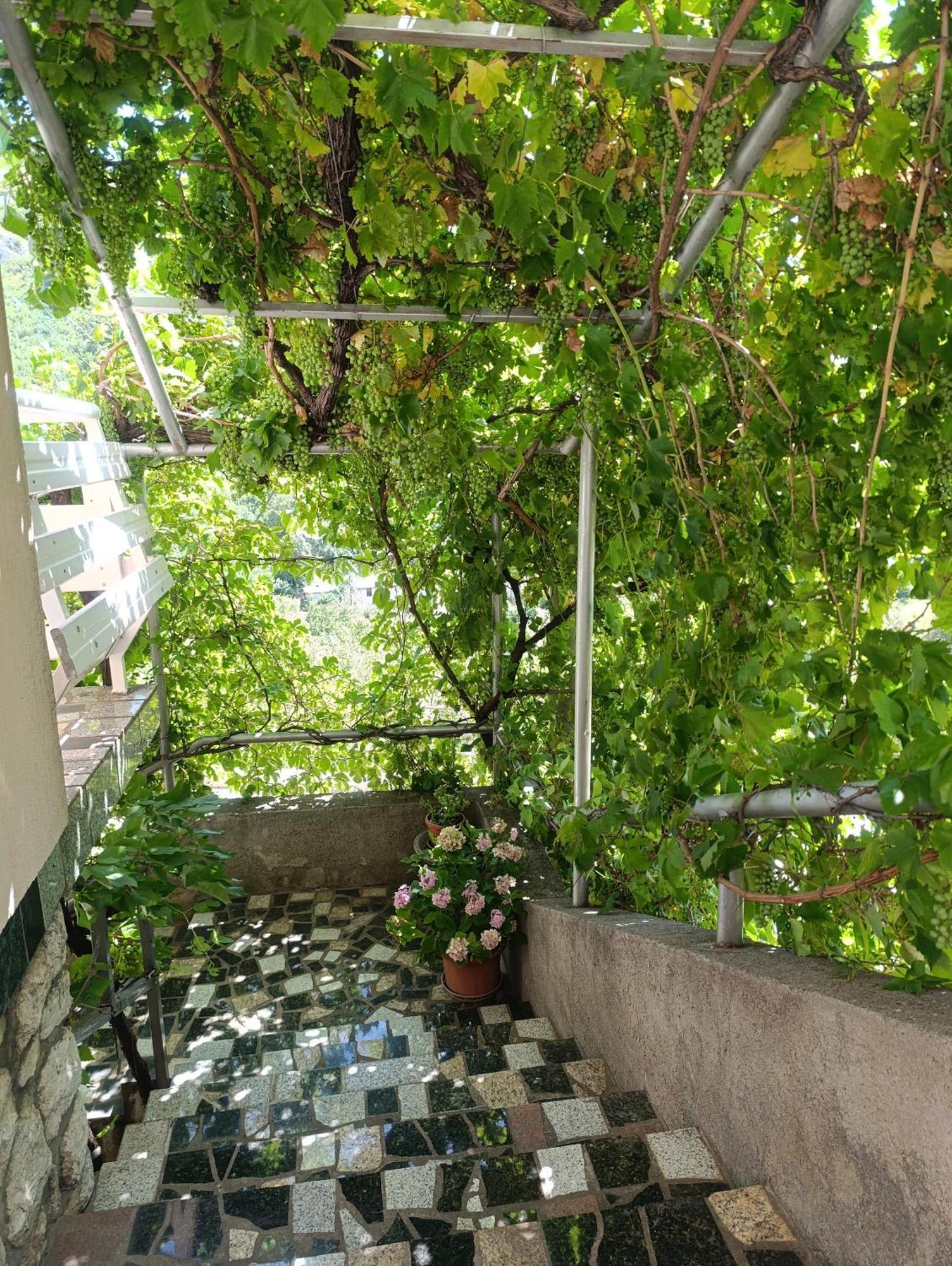 Apartment Rita Senj  Exterior photo